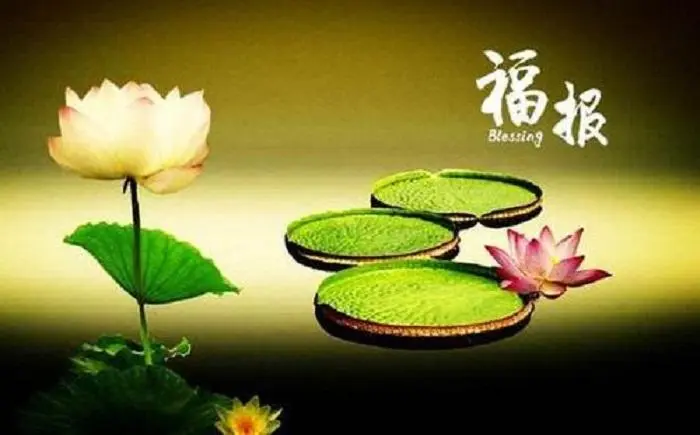 很多年之前流產的嬰兒，通過超度能化解嗎？超度墮胎嬰兒有用嗎？-音狐運勢網