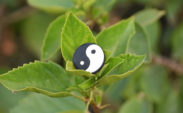 和合符開始起效的感覺-音狐運(yùn)勢(shì)網(wǎng)